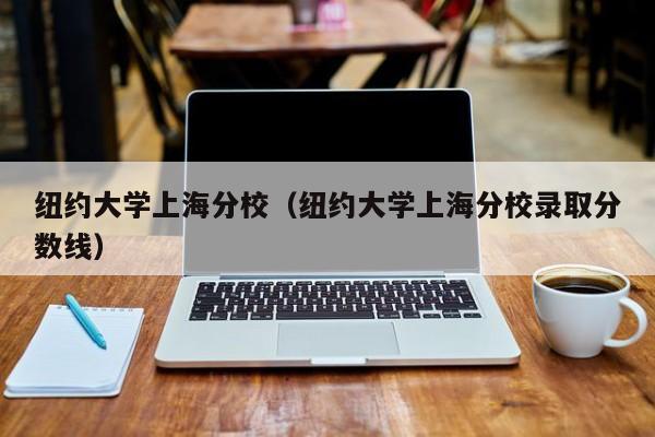 纽约大学上海分校（纽约大学上海分校录取分数线）